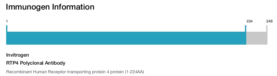 RTP4 Polyclonal Antibody