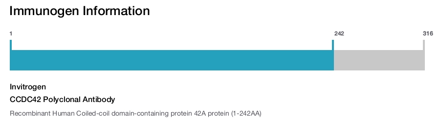 CCDC42 Polyclonal Antibody