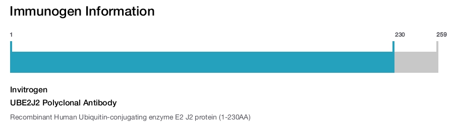 UBE2J2 Polyclonal Antibody