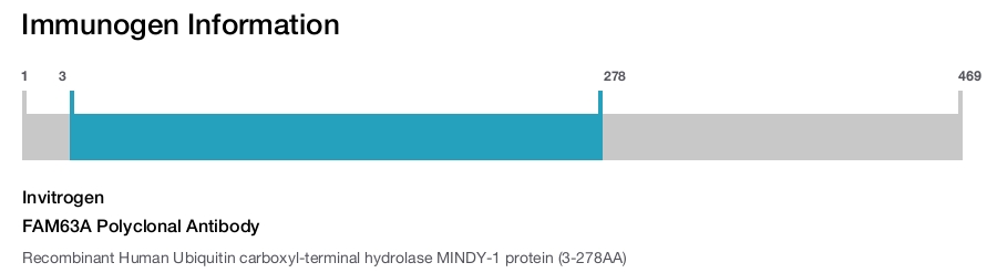 FAM63A Polyclonal Antibody