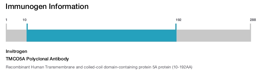 TMCO5A Polyclonal Antibody