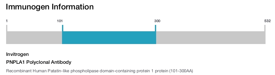 PNPLA1 Polyclonal Antibody