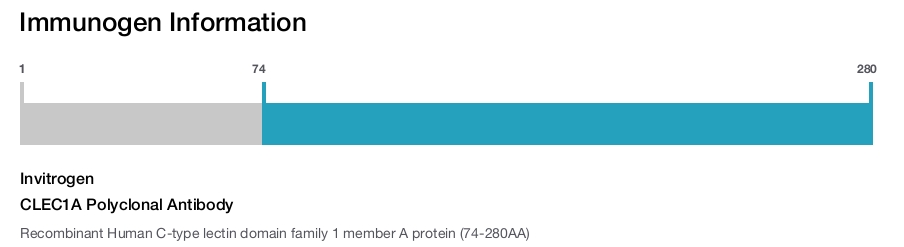 CLEC1A Polyclonal Antibody