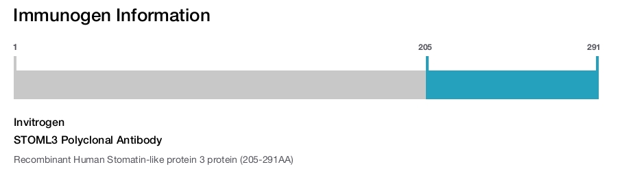 STOML3 Polyclonal Antibody