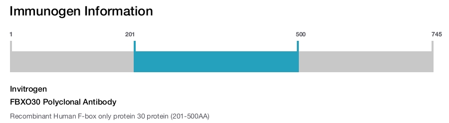 FBXO30 Polyclonal Antibody