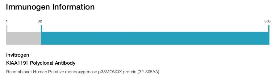 KIAA1191 Polyclonal Antibody