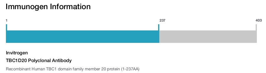 TBC1D20 Polyclonal Antibody