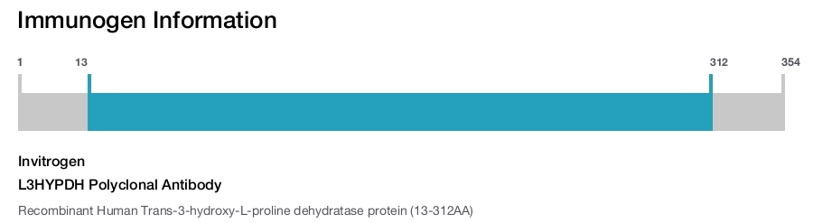 L3HYPDH Polyclonal Antibody