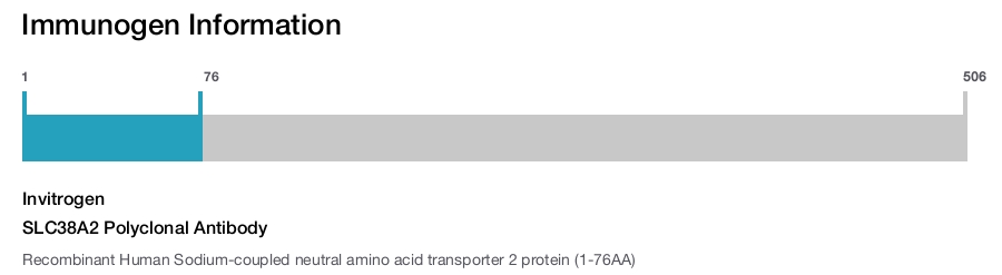SLC38A2 Polyclonal Antibody
