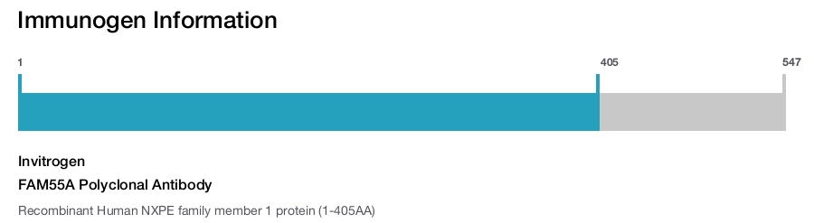 FAM55A Polyclonal Antibody