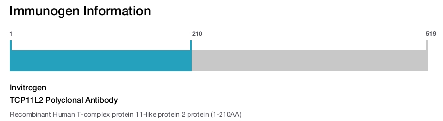 TCP11L2 Polyclonal Antibody