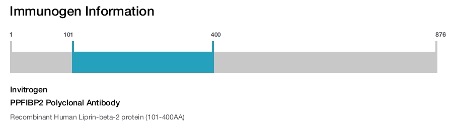 PPFIBP2 Polyclonal Antibody