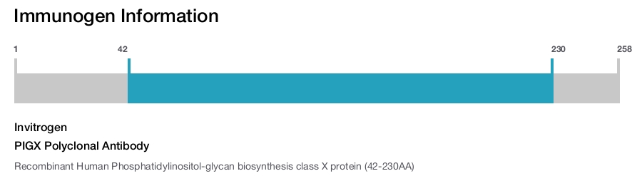 PIGX Polyclonal Antibody