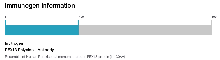 PEX13 Polyclonal Antibody