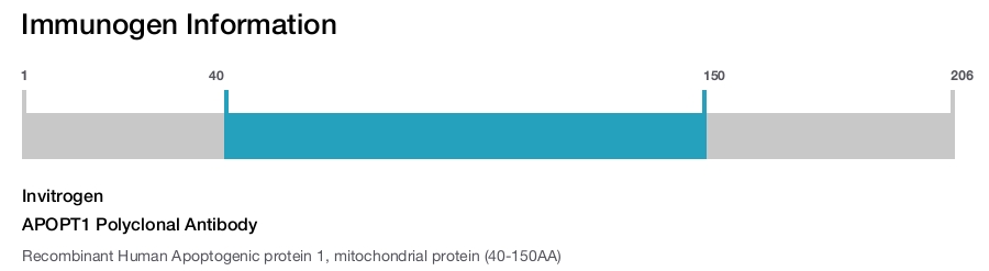 APOPT1 Polyclonal Antibody