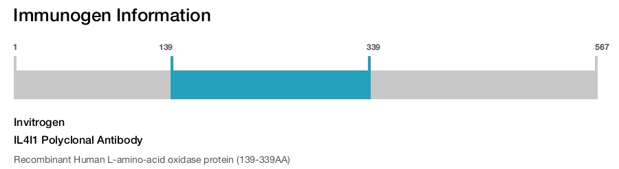 IL4I1 Polyclonal Antibody