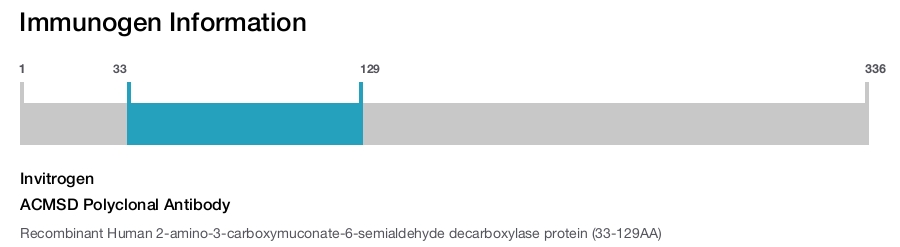 ACMSD Polyclonal Antibody