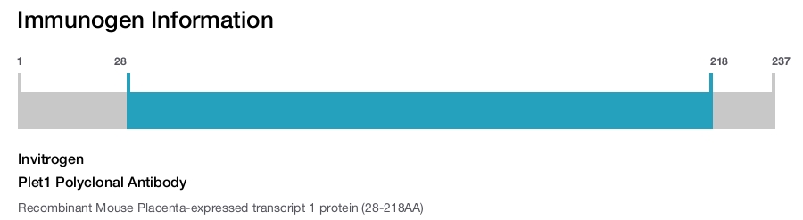 Plet1 Polyclonal Antibody