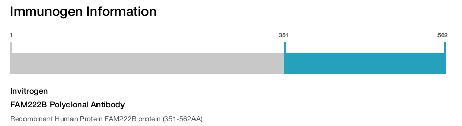 FAM222B Polyclonal Antibody