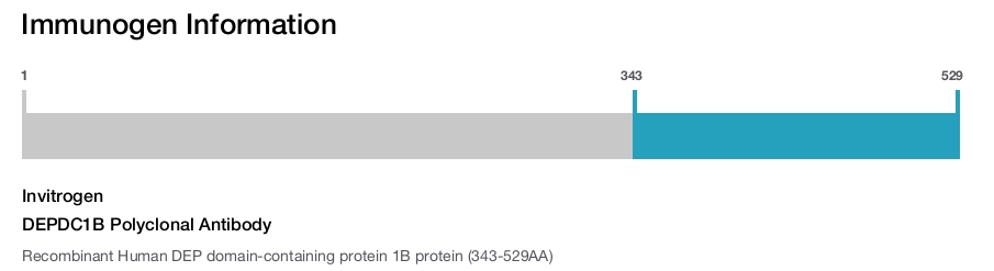 DEPDC1B Polyclonal Antibody