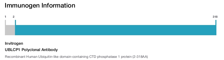 UBLCP1 Polyclonal Antibody