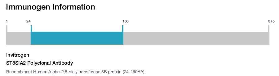 ST8SIA2 Polyclonal Antibody