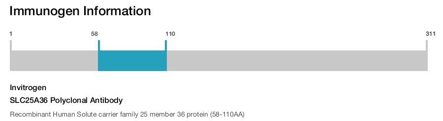 SLC25A36 Polyclonal Antibody