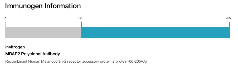 MRAP2 Polyclonal Antibody