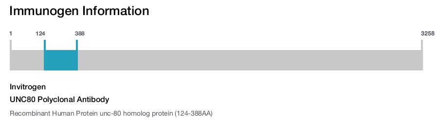 UNC80 Polyclonal Antibody