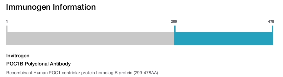 POC1B Polyclonal Antibody