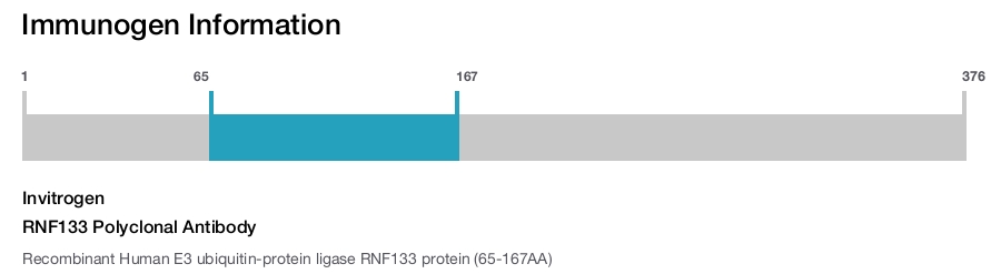RNF133 Polyclonal Antibody