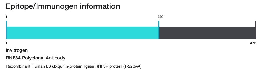 RNF34 Polyclonal Antibody