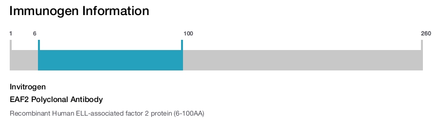 EAF2 Polyclonal Antibody