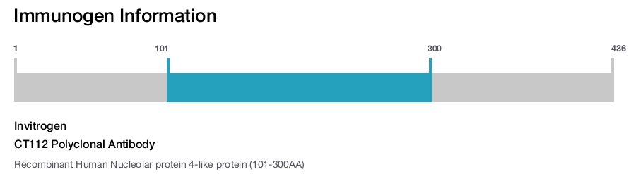 CT112 Polyclonal Antibody