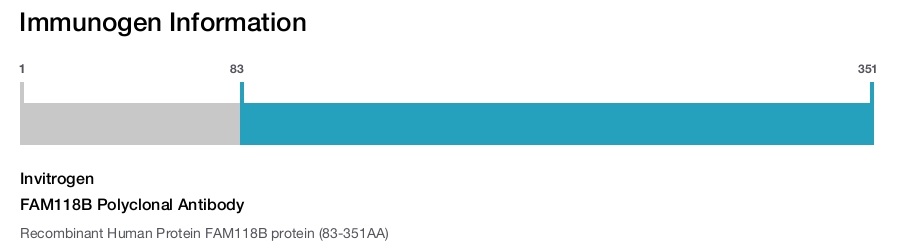 FAM118B Polyclonal Antibody