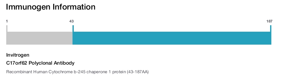 C17orf62 Polyclonal Antibody