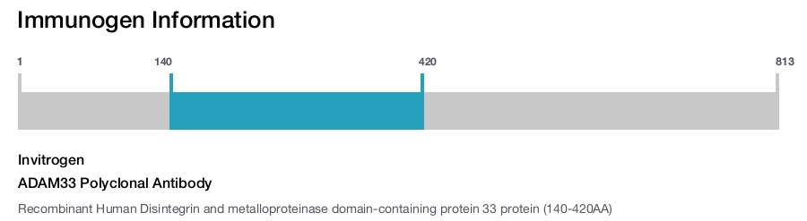 ADAM33 Polyclonal Antibody