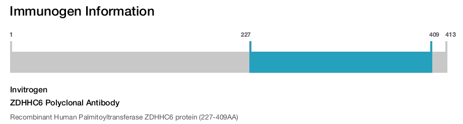ZDHHC6 Polyclonal Antibody