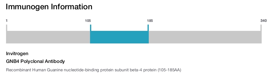 GNB4 Polyclonal Antibody