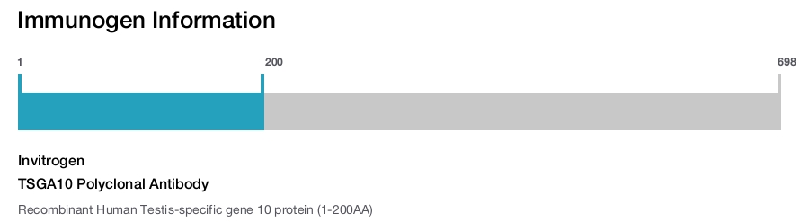 TSGA10 Polyclonal Antibody