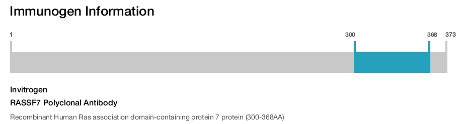 RASSF7 Polyclonal Antibody