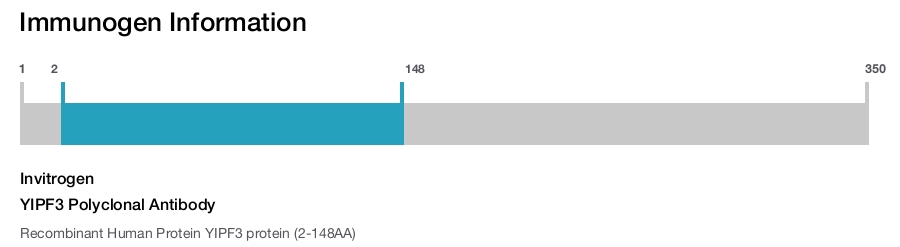 YIPF3 Polyclonal Antibody