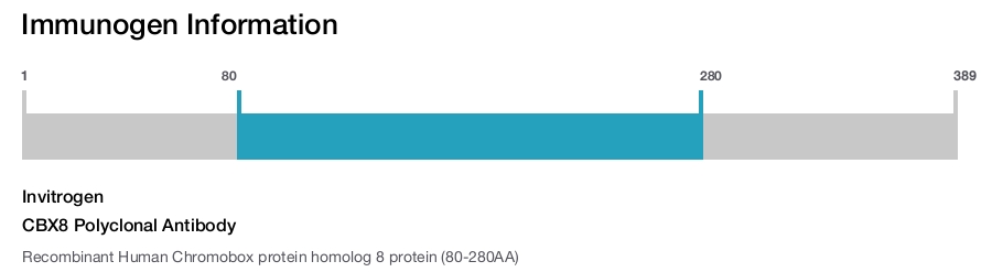 CBX8 Polyclonal Antibody