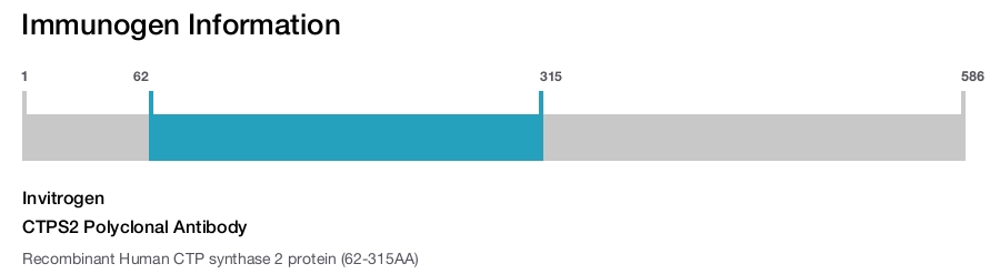 CTPS2 Polyclonal Antibody