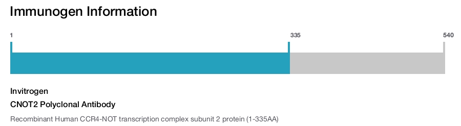CNOT2 Polyclonal Antibody