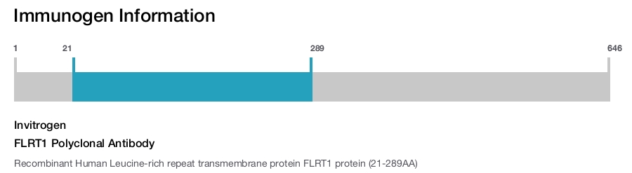 FLRT1 Polyclonal Antibody