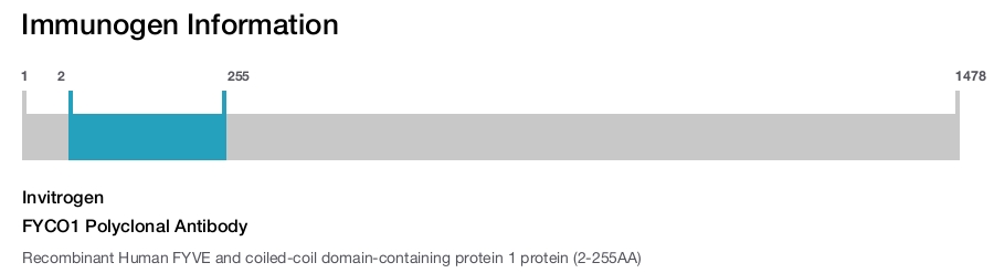 FYCO1 Polyclonal Antibody