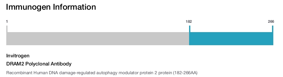 DRAM2 Polyclonal Antibody