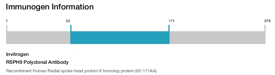 RSPH9 Polyclonal Antibody
