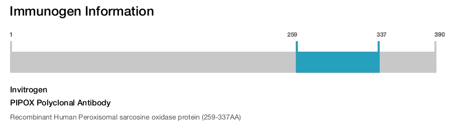 PIPOX Polyclonal Antibody